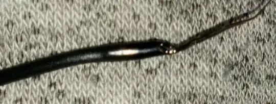 Photo of filament with significantly different sized diameter