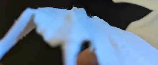 Close up of dragon wing showing cotton effect