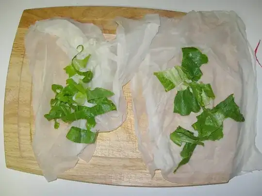 Comparison of cut and torn lettuce