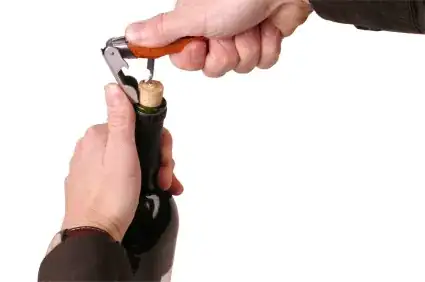 Pressure Cooker Bean Instructions