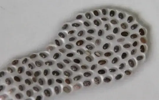 soaked chia seeds in their own gel