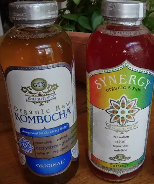 GT Kombucha