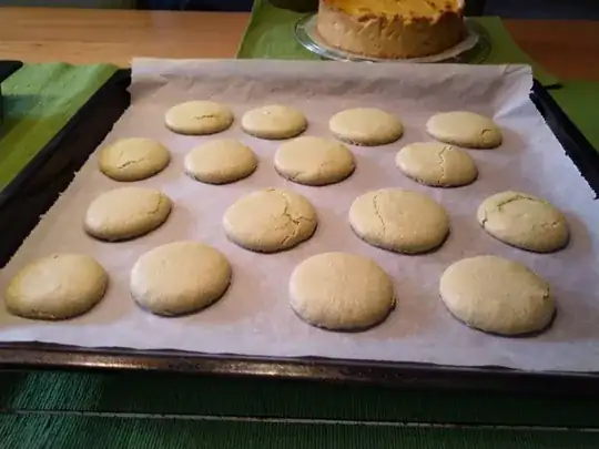 2nd tray of macarons, some torn, otherwise fine, 6 perfect