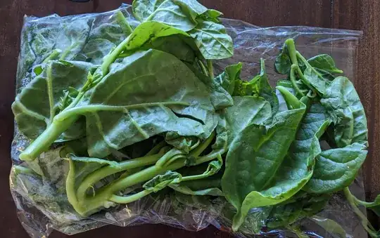 photo of leafy green