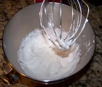 Coconut Milk w/ Guar and Xanthan 2x in Mixer