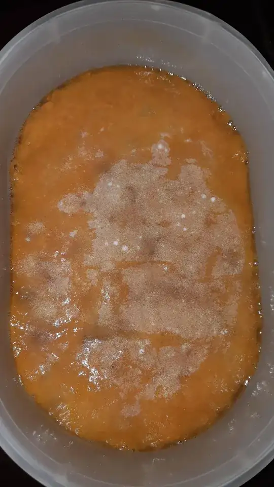 day 5 of apple cider vinegar