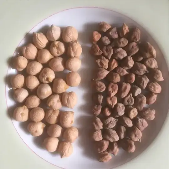 Kabuli (left), Bengal Gram (right)