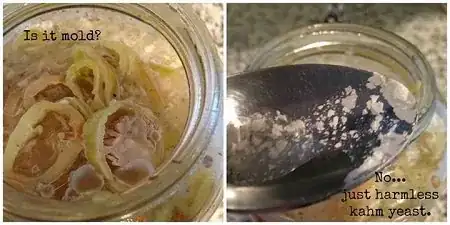 Kahm yeast shown in a jar and on spoon