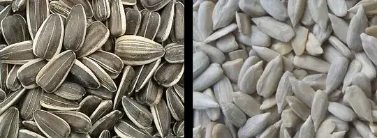 Sunflower Seeds and Seed Kernels