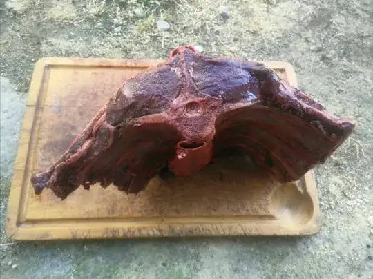 fallow deer ribs