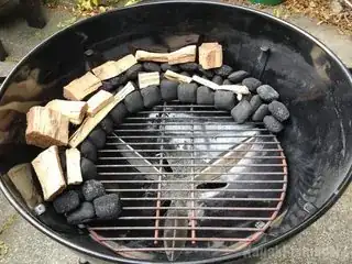 Charcoal Snake Method Picture