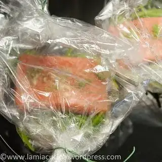 salmon in oven bags