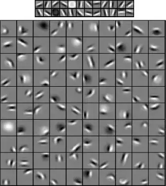 conv net filters visualisation