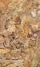 Mathematica graphics