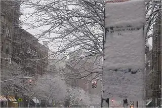 Snow covered vertical signage