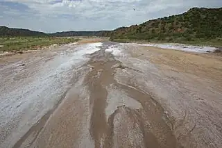 Salty bed of Little Red River, a tributary of Red River, Texas (Wikipedia)