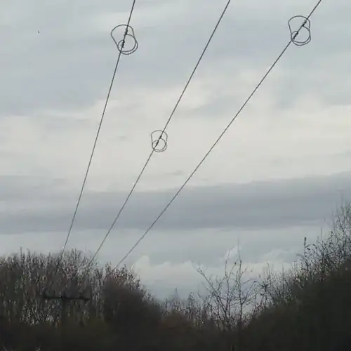 Power lines with spiral-shaped bird flight diverters