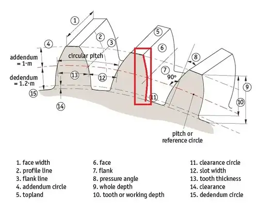 Curvature line of face and flank of a spur gear