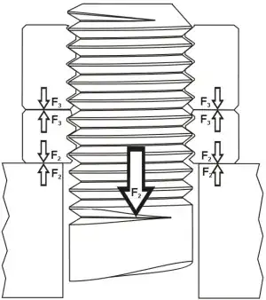 force model for double nutting