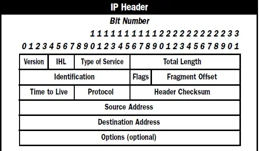 IP Header with Protocol field highlighted