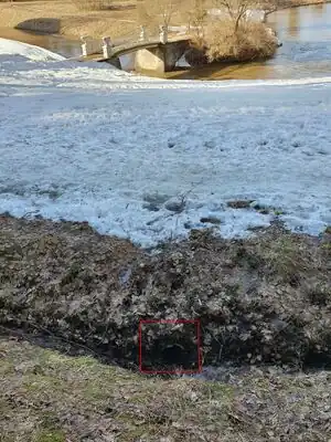 Дренаж у Чугунного мостика, фотография из серии фотофиксаций Павловского парка