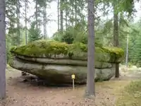 1221140868 1221140868