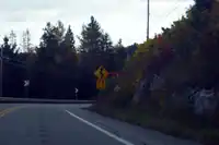 Curvy road warning sign with speed suggestion on Quebec Route 105 in Canada(traffic_sign=hazard + hazard=curves + curves=extended + maxspeed:advisory=75)