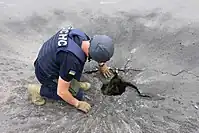 Small military crater