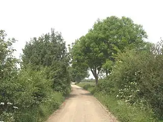 natural=scrubEven though some overgrowth is sometimes trimmed away to keep the road clear .