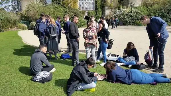 Schülerinnen und Schüler begutachten die erhobenen Daten mit Smartphone