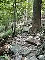 Rock covered trail surface on the Ole Ranger Trail at Patapsco Valley State Park