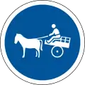 South Africa:carriage=designated