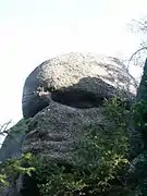 1885717635 1885717635