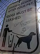 dog=leashed