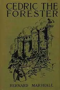 This photo of the book cover shows knights storming a castle.