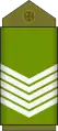 Sergent major(Land Forces of the DR Congo)