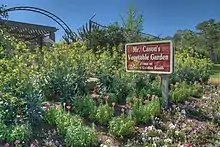 "Mr. Cason's Vegetable Garden