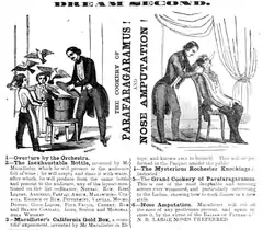 Detail from advertisement for Macallister's performance, November 1851