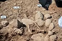 Part of a skeleton appears. Grave 103