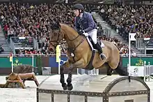 A bay horse jumping a large pirate chest