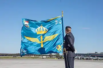 Honor guard with the wing's colour