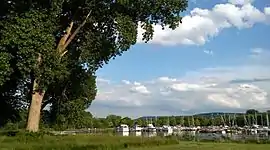 The marina connects to the south end of Cayuga Lake via the lake inlet.