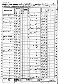 Black-and-white scan of microfilm of ledger recording demographic statistics of slaves owned by white people in the county