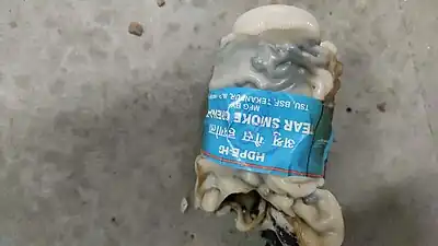 Remains of tear gas shield in the reading hall, central library, JMI