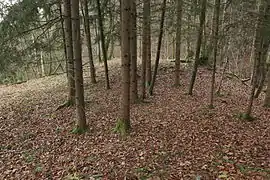 Image 8: View over the slightly higher SE site of the site (Dec&nbsp;2014)