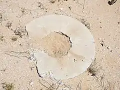 The survey mark of the US Corps of Engineers was once located here.