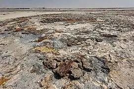 Beachrock in Freiha.