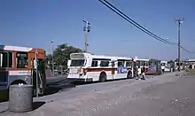 Four buses are parked at the first Beaverton Transit Center as passngers board them