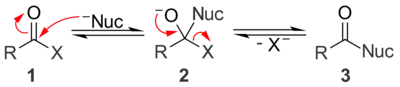 A general mechanism for base catalyzed nucleophilic acyl substitution