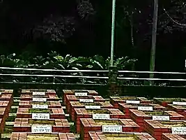 Belayet's grave at Kullapathar Shaheed Memorial (front and center)